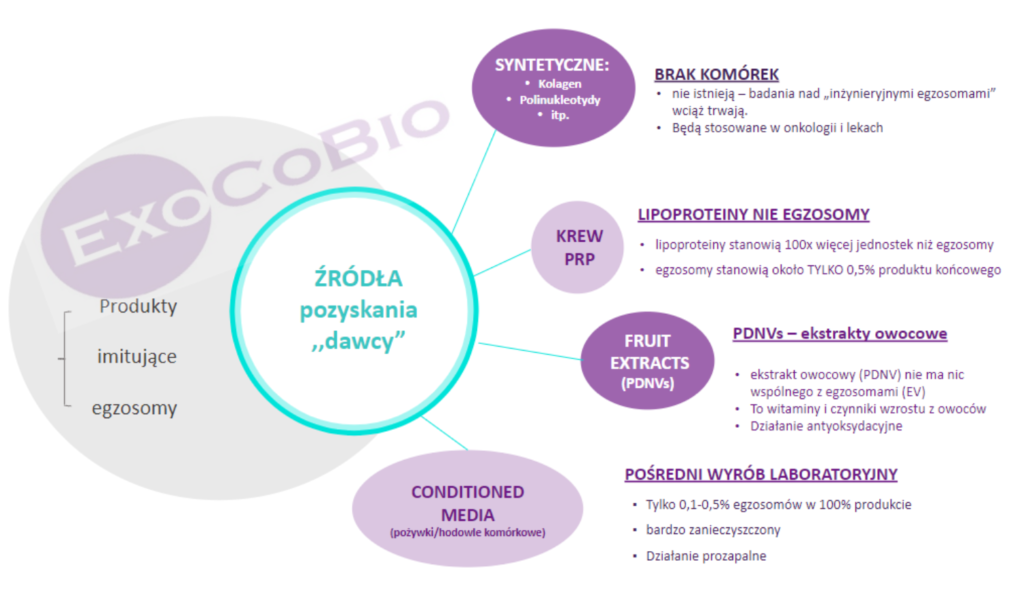 EGZOSOMY ASCE+ POCHODZENIE